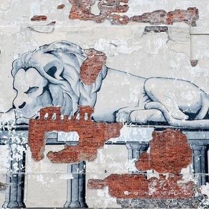 Meet your Posher, Tony